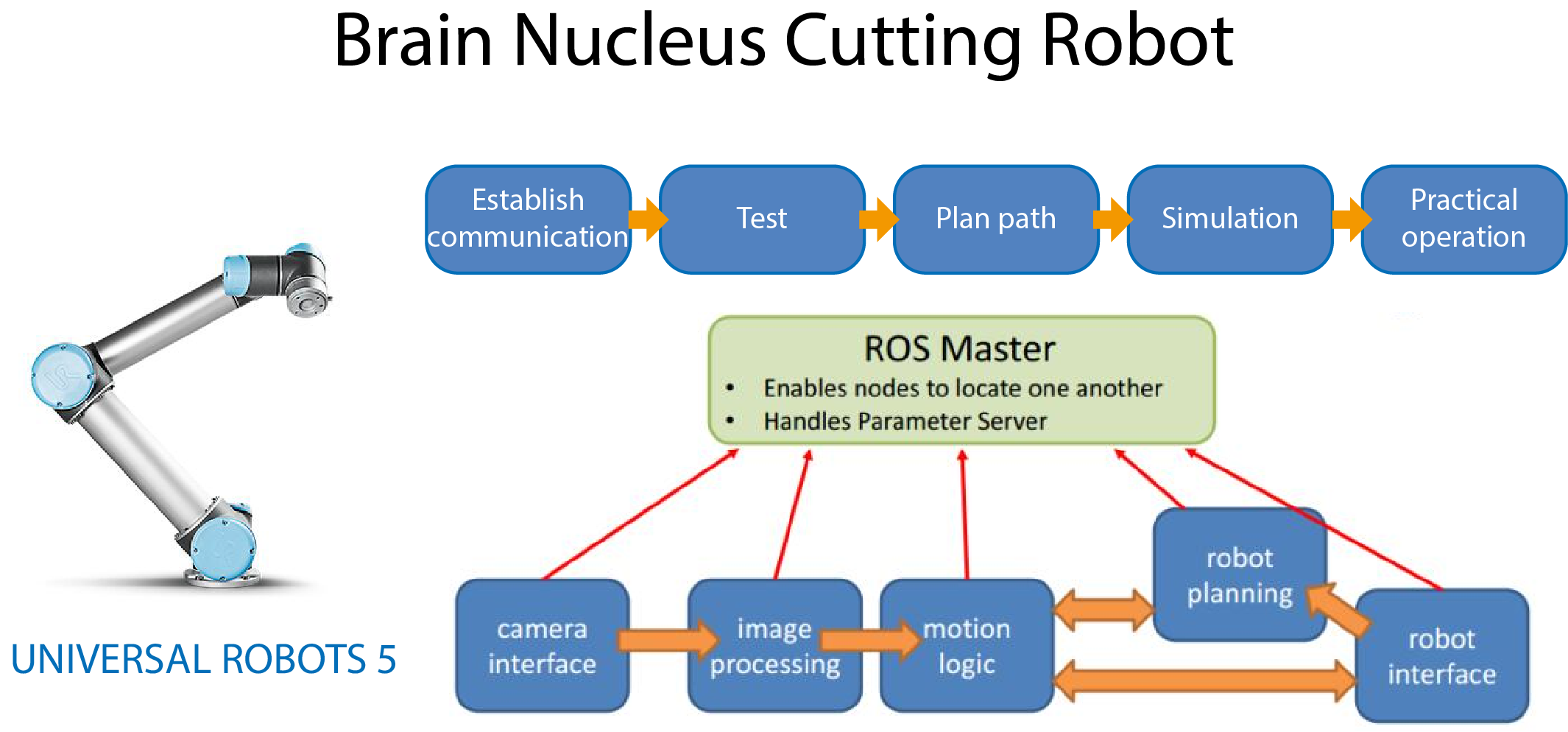 Development of biomedical robot