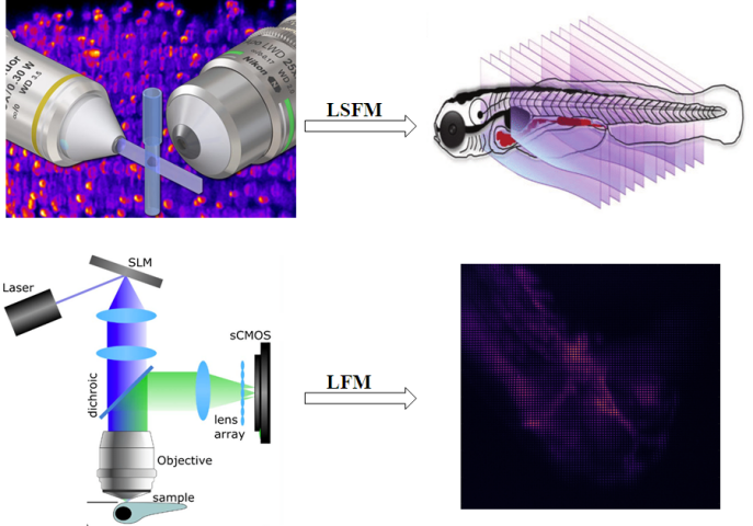 Development of biomedical robot