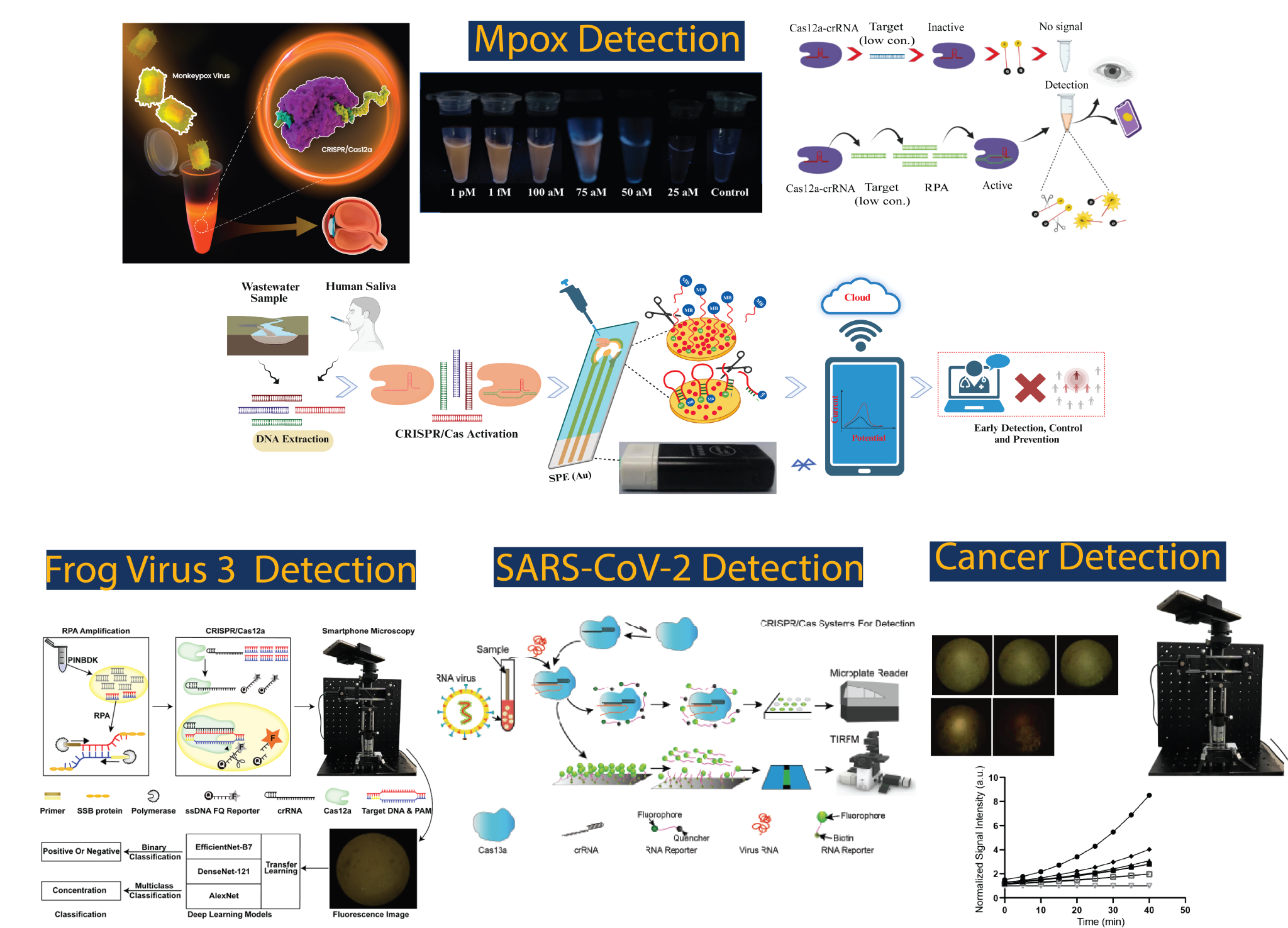 Nucleic acids detection with CRISPR/Cas systems