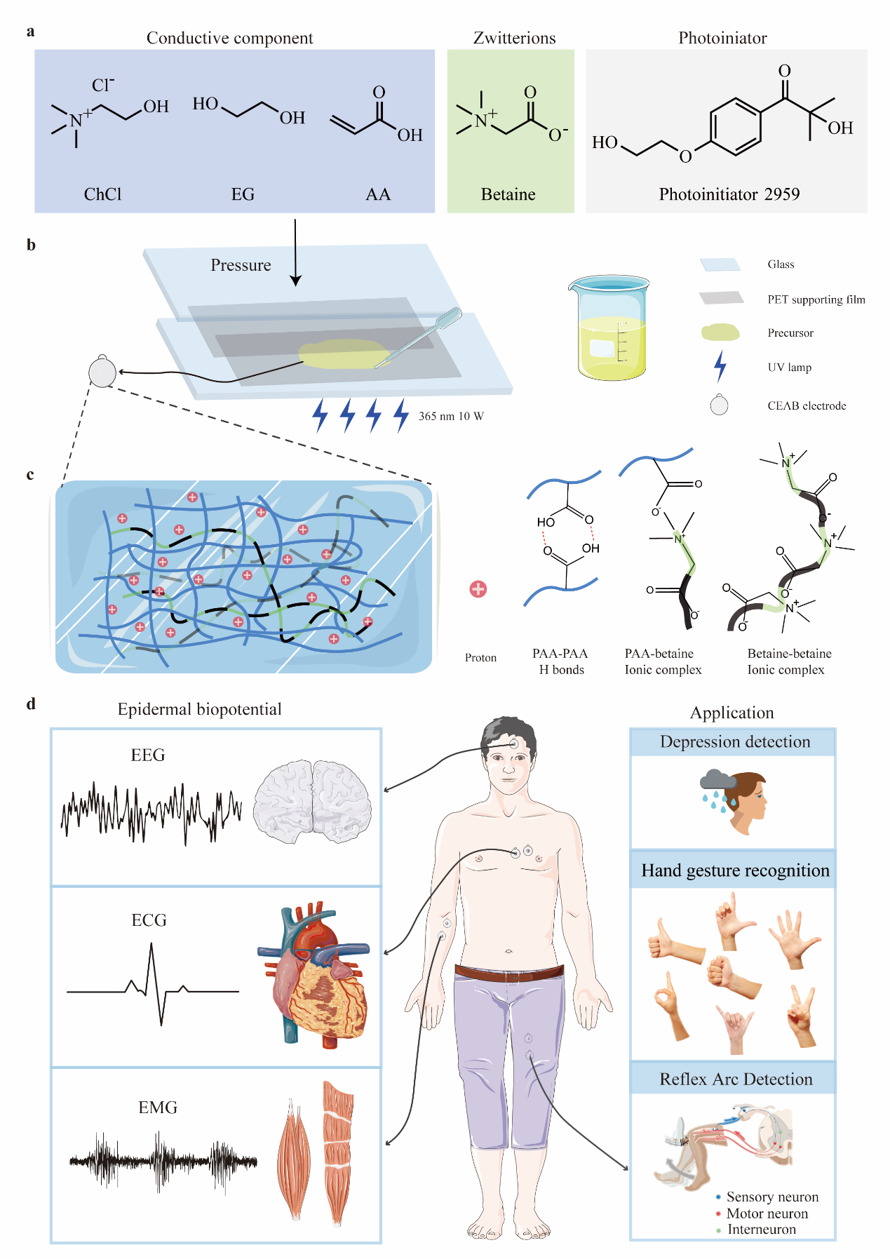 Development of biomedical robot